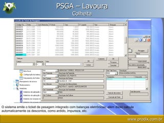 PSGA – Lavoura Colheita O sistema emite o ticket de pesagem integrado com balanças eletrônicas; além disso calcula automaticamente os descontos, como ardido, impureza, etc. www.prodix.com.br 
