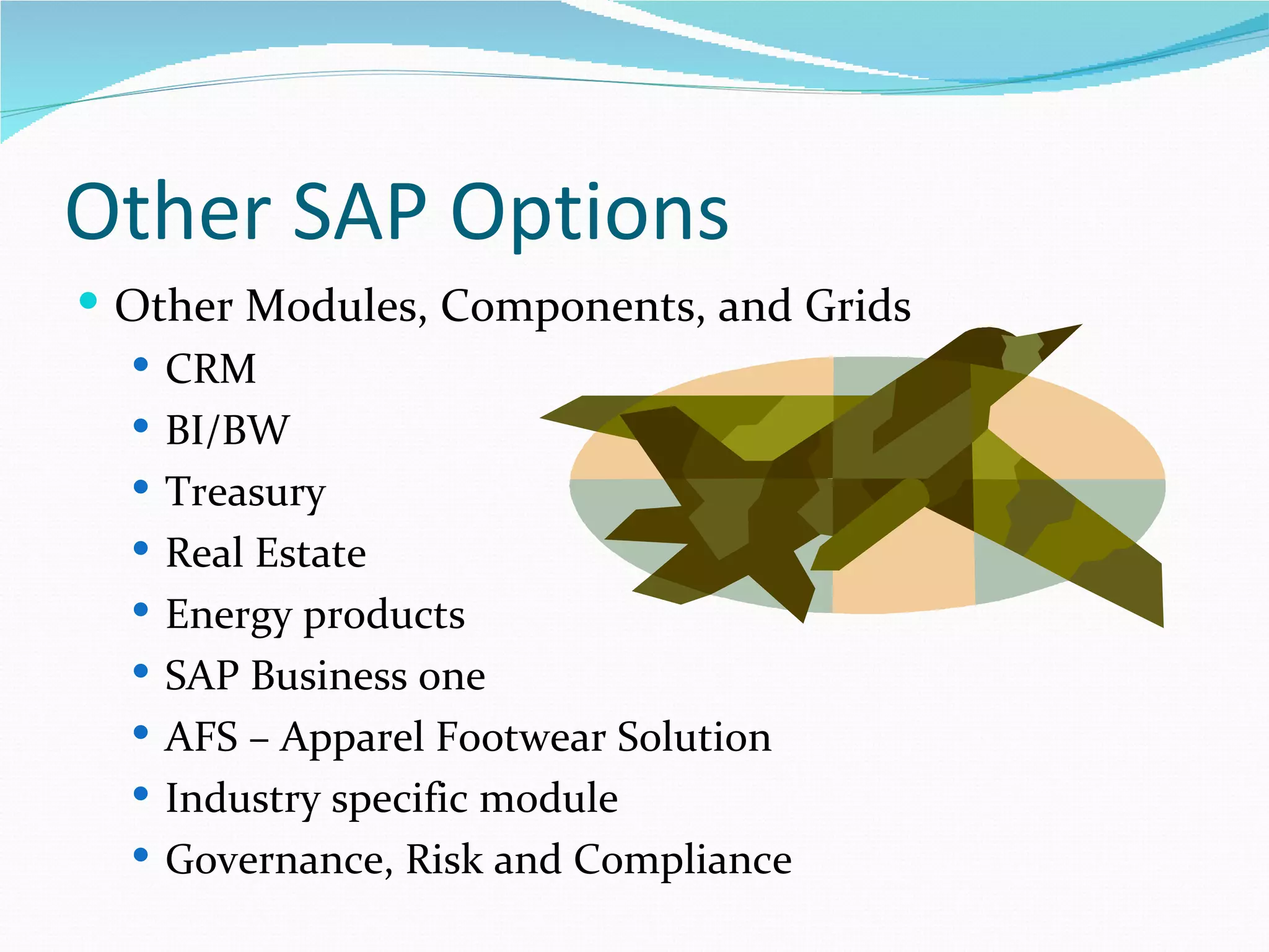 Other SAP Options
 Other Modules, Components, and Grids
   CRM
   BI/BW
   Treasury
   Real Estate
   Energy products
   SAP Business one
   AFS – Apparel Footwear Solution
   Industry specific module
   Governance, Risk and Compliance
 