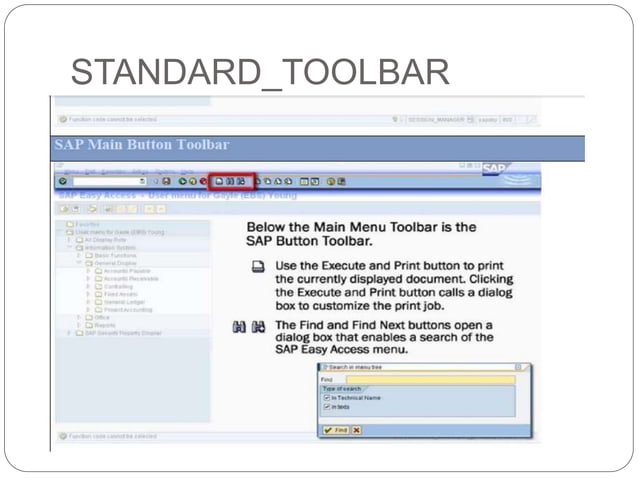 SAP Introduction | PPTX