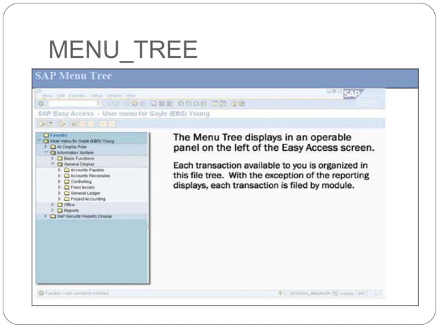 SAP Introduction | PPTX