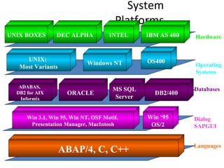 System Platforms Languages Dialog SAPGUI Databases Operating Systems Hardware UNIX BOXES IBM AS 400 INTEL DEC ALPHA UNIX:  Most Variants Windows NT OS400 ADABAS,  DB2 for AIX Informix DB2/400 ORACLE MS SQL Server Win 3.1, Win 95, Win NT, OSF Motif,  Presentation Manager, MacIntosh Win ‘95 OS/2 ABAP/4, C, C++ 
