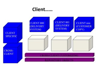 Client…… CROSS-CLIENT CUSTOMIZING REPOSITORY OBJECTS CLIENT SPECIFIC CROSS- CLIENT CLIENT 000 (DELIVERY  SYSTEM) CLIENT 001 (DELIVERY  SYSTEM) CLIENT nnn (CUSTOMER COPY) 