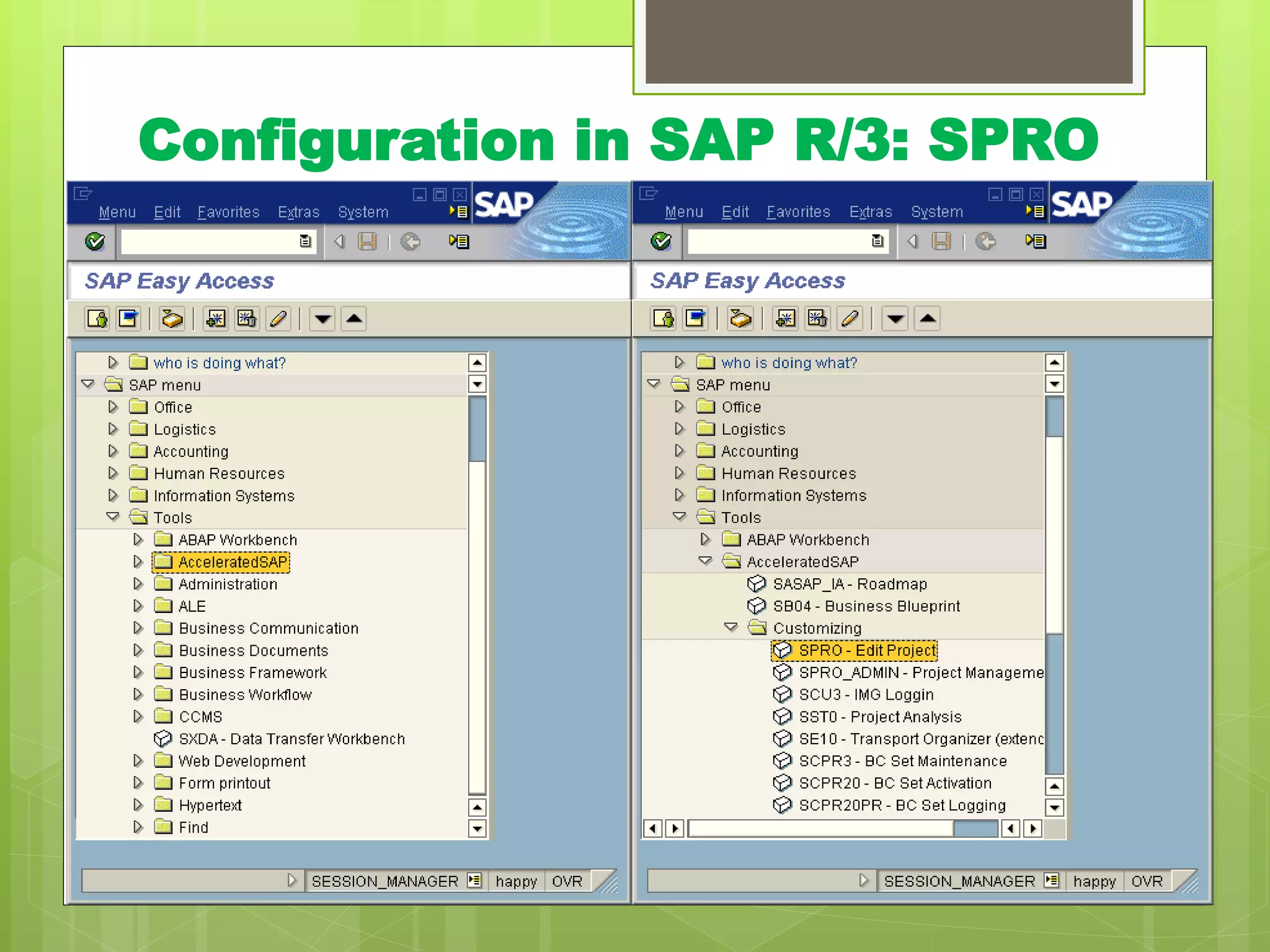 Configuration in SAP R/3: SPRO
 