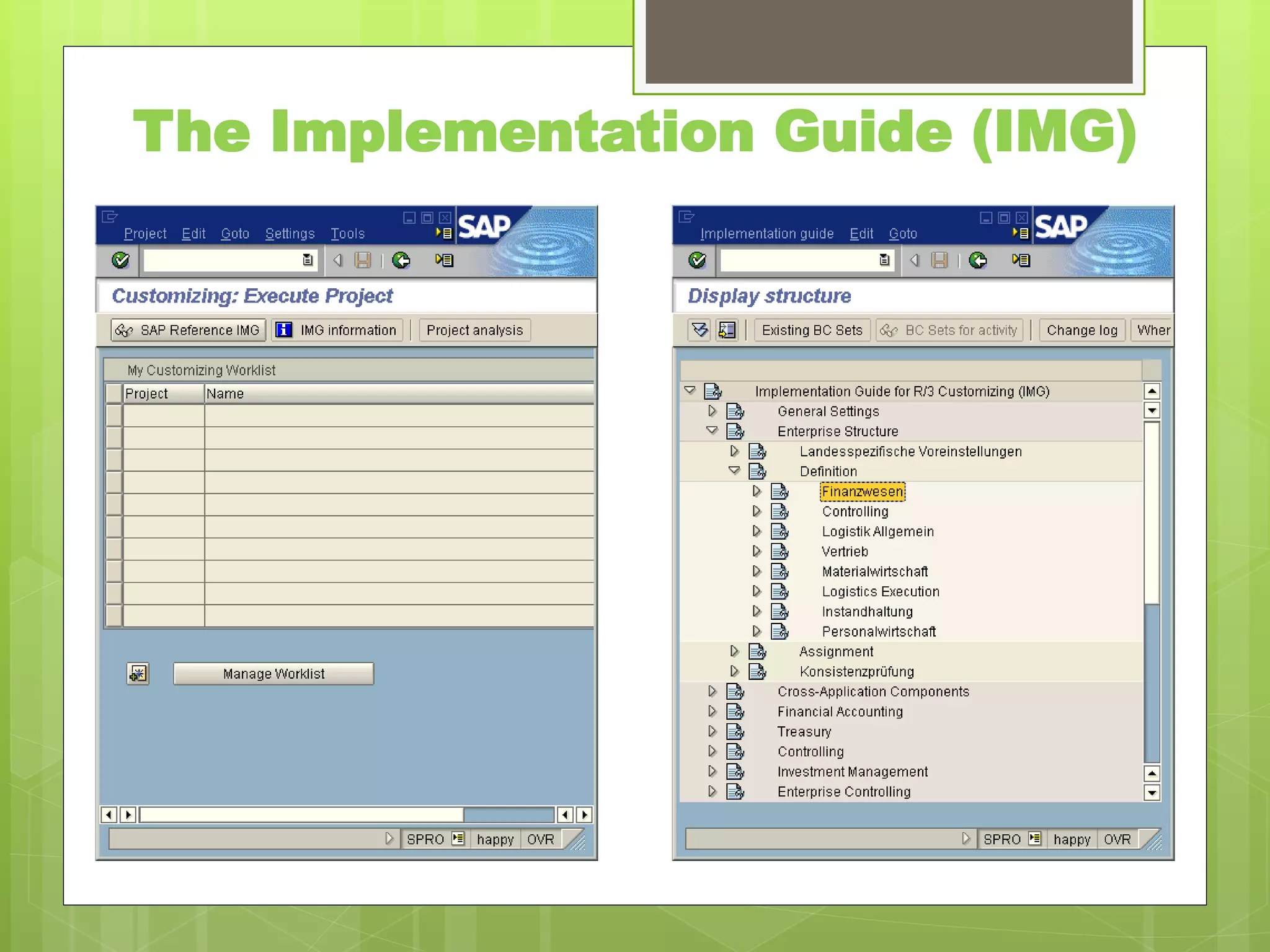 The Implementation Guide (IMG)
 