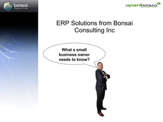ERP Solutions from Bonsai Consulting Inc What a small business owner needs to know? 