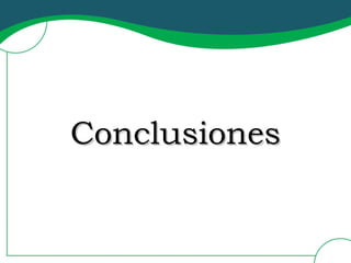 Conclusiones 