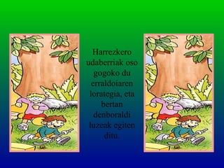 Harrezkero
udaberriak oso
gogoko du
erraldoiaren
lorategia, eta
bertan
denboraldi
luzeak egiten
ditu.
 
