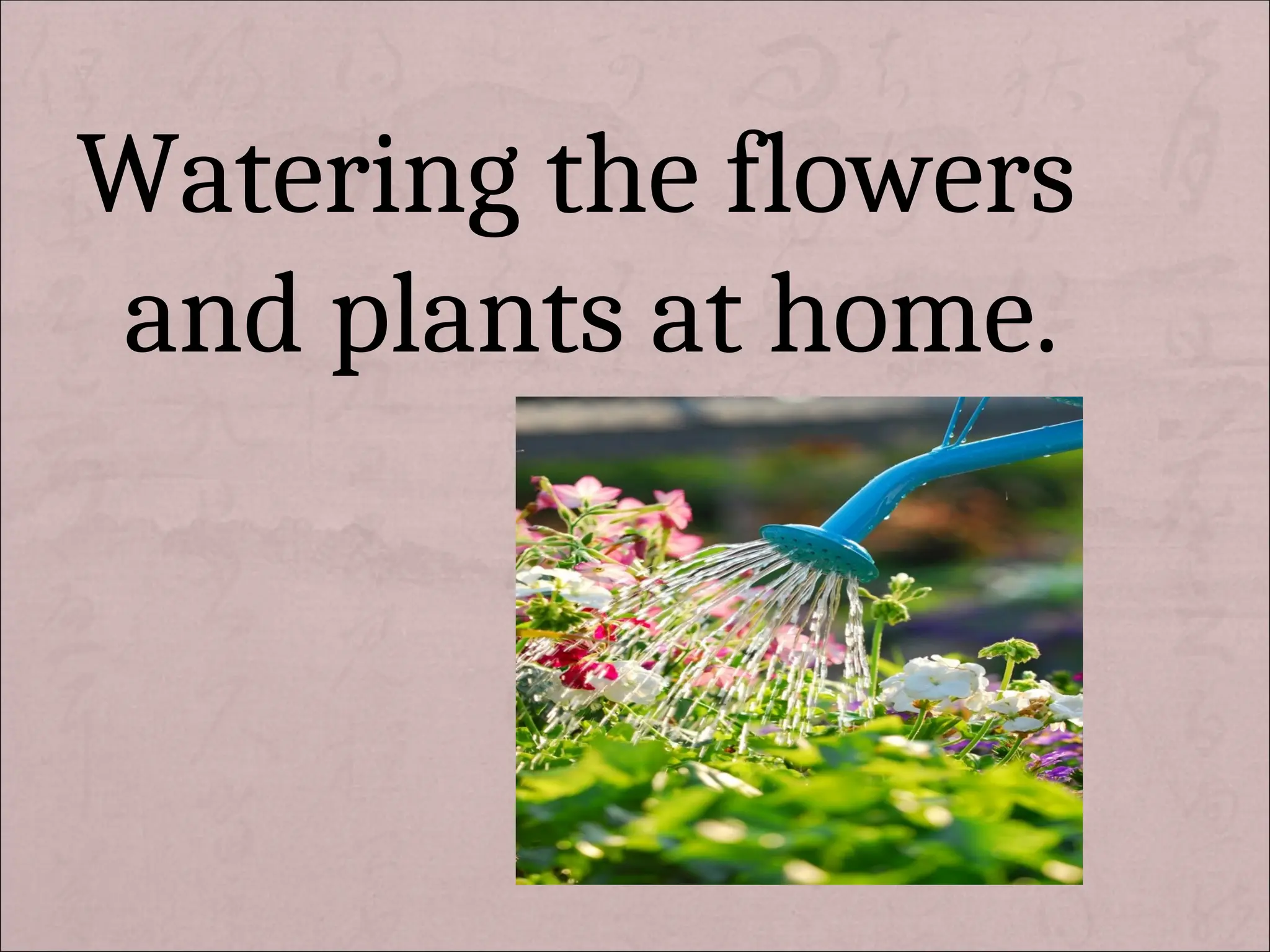 Watering the flowers
and plants at home.
 