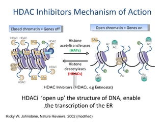 ABC1 - B. Kaufman - Endocrine resistance mechanisms and solutions | PPT