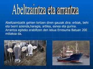 Abeltzaintzatik gehien lortzen diren gauzak dira: erbiak, behi
eta txerri azienda,haragia, artilea, esnea eta gurina.
Arrantza egiteko erabiltzen den lekua Erresuma Batuan 200
miliakoa da.
 