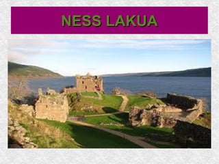 NESS LAKUA 