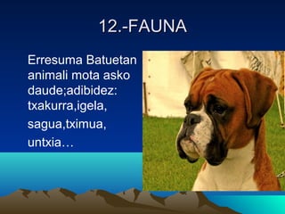 12.-FAUNA12.-FAUNA
Erresuma Batuetan
animali mota asko
daude;adibidez:
txakurra,igela,
sagua,tximua,
untxia…
 