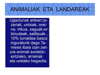 ANIMALIAK ETA LANDAREAK
● Ugaztunak artean:(a-
zeriak, untxiak, orei-
na, trikua, xaguak,er-
binudeak, satitsuak...
10% lurraldea basoz
inguraturik dago.Ta-
mesis ibaia izan zen
ura animali exotetzi-
entziako, arrainak
eta uretako hegaztia.
 