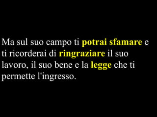 Ma sul suo campo ti potrai sfamare e
ti ricorderai di ringraziare il suo
lavoro, il suo bene e la legge che ti
permette l'ingresso.

 