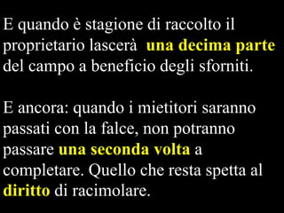 E quando è stagione di raccolto il
proprietario lascerà una decima parte
del campo a beneficio degli sforniti.
E ancora: quando i mietitori saranno
passati con la falce, non potranno
passare una seconda volta a
completare. Quello che resta spetta al
diritto di racimolare.

 