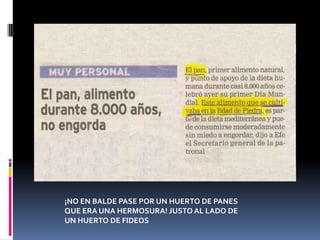 ¡NO EN BALDE PASE POR UN HUERTO DE PANES QUE ERA UNA HERMOSURA! JUSTO AL LADO DE UN HUERTO DE FIDEOS