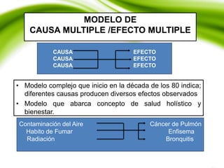 MODELO DE
CAUSA MULTIPLE /EFECTO MULTIPLE
• Modelo complejo que inicio en la década de los 80 indica;
diferentes causas producen diversos efectos observados
• Modelo que abarca concepto de salud holístico y
bienestar.
CAUSA EFECTO
CAUSA EFECTO
CAUSA EFECTO
Contaminación del Aire Cáncer de Pulmón
Habito de Fumar Enfisema
Radiación Bronquitis
 