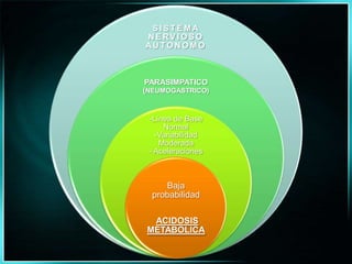 Parasimpaticolíticos