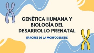 GENÉTICA HUMANA Y
BIOLOGÍA DEL
DESARROLLO PRENATAL
ERRORES DE LA MORFOGENESIS
 