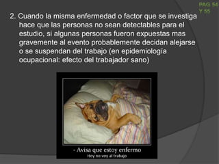 2. Cuando la misma enfermedad o factor que se investiga
hace que las personas no sean detectables para el
estudio, si algunas personas fueron expuestas mas
gravemente al evento probablemente decidan alejarse
o se suspendan del trabajo (en epidemiología
ocupacional: efecto del trabajador sano)
 