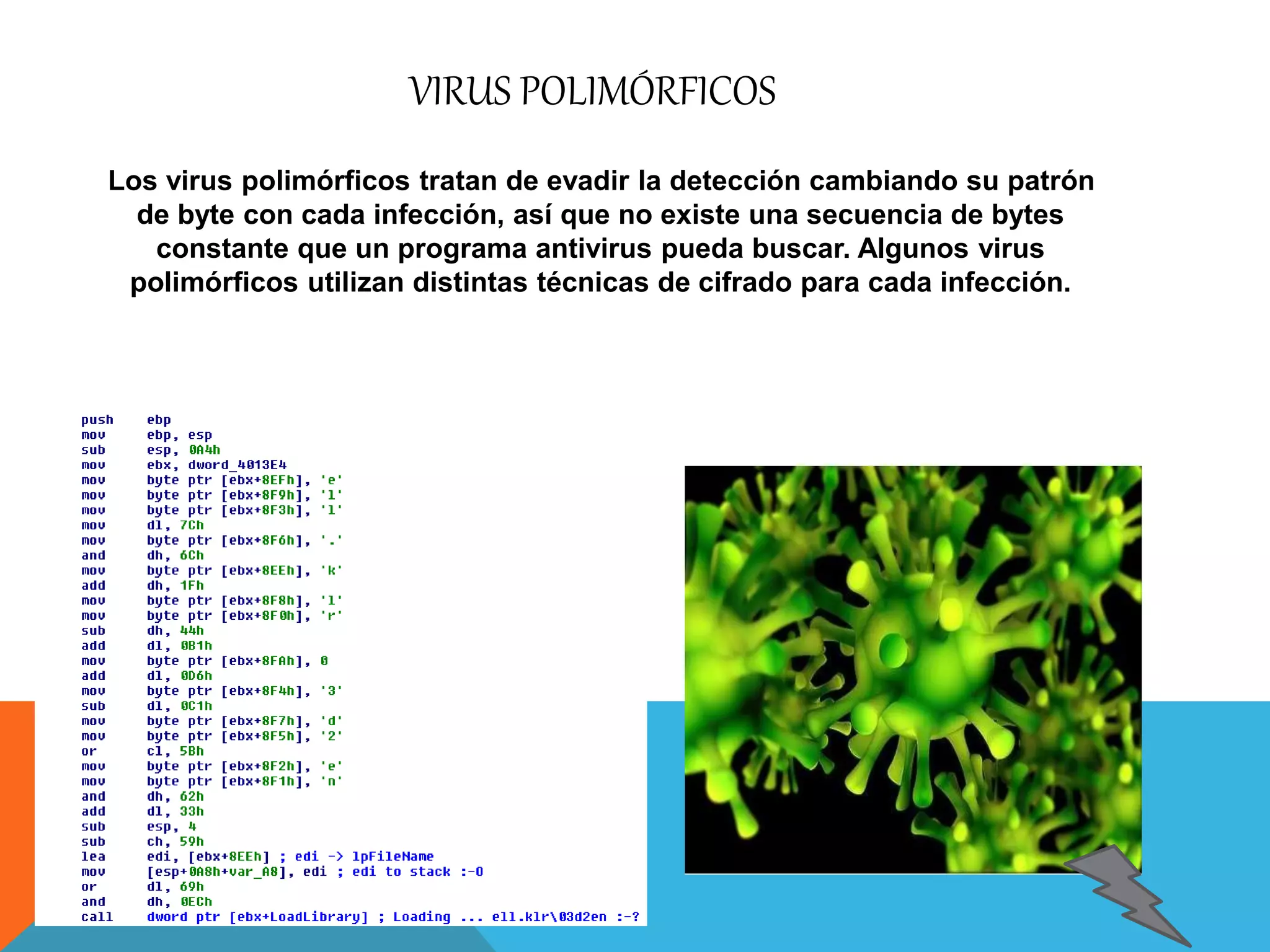 VIRUS POLIMÓRFICOS 
Los virus polimórficos tratan de evadir la detección cambiando su patrón 
de byte con cada infección, así que no existe una secuencia de bytes 
constante que un programa antivirus pueda buscar. Algunos virus 
polimórficos utilizan distintas técnicas de cifrado para cada infección. 
 