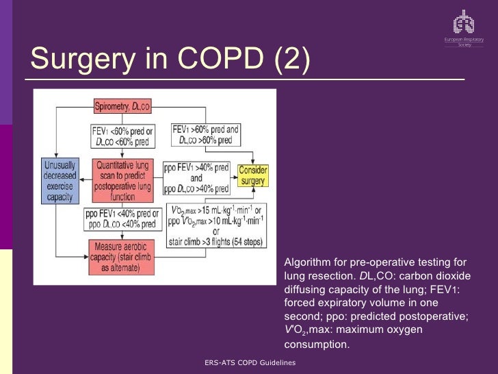 Ers Ats Copd Guidelines