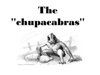 The
''chupacabras''
 