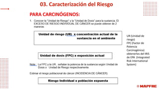 Fpc Risk Evaluación de riesgos toxicológicos IHSI | PPTX