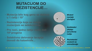 MUTACIJOM DO
REZISTENCIJE…
• Mutacija bilo kog gena se dešava
u 1 ćeliji / 107
• Rezistencija koja se dobija
mutacijom se selekcioniše
• Pre noći, jedna ćelija može dati
109 progena
• Selektivno delovanje terapije
dovodi do katastrofe...
Mutant
nastaje
slučajno
Antibiotici
ubijaju
senzitivne
ćelije
Rezistentni
mutanti se
umnožavaju
 