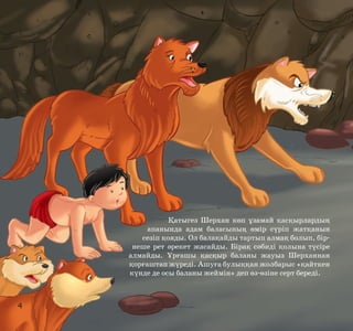 Қатыгез Шерхан көп ұзамай қасқырлардың
апанында адам баласының өмір сүріп жатқанын
сезіп қояды. Ол балақайды тартып алмақ болып, бірнеше рет әрекет жасайды. Бірақ сәбиді қолына түсіре
алмайды. Ұрғашы қасқыр баланы жауыз Шерханнан
қорғаштап жүреді. Ашуға булыққан жолбарыс «қайткен
күнде де осы баланы жеймін» деп өз-өзіне серт береді.

4

 