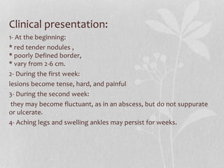 Clinical presentation:
1- At the beginning:
* red tender nodules ,
* poorly Defined border,
* vary from 2-6 cm.
2- During the first week:
lesions become tense, hard, and painful
3- During the second week:
they may become fluctuant, as in an abscess, but do not suppurate
or ulcerate.
4- Aching legs and swelling ankles may persist for weeks.