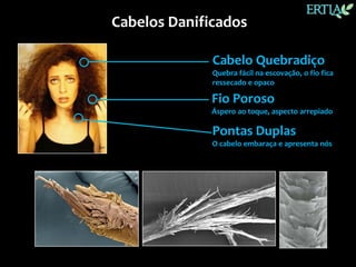 Cabelos Danificados

              Cabelo Quebradiço
              Quebra fácil na escovação, o fio fica
              ressecado e opaco

              Fio Poroso
              Áspero ao toque, aspecto arrepiado

              Pontas Duplas
              O cabelo embaraça e apresenta nós
 