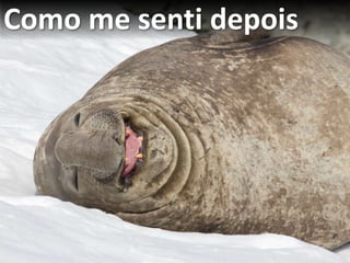 Surpreenda o clienteModelo de Kano