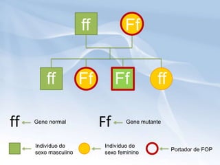 ff           Ff


         ff           Ff        Ff            ff

ff   Gene normal
                           Ff       Gene mutante



     Indivíduo do           Indivíduo do
                                                   Portador de FOP
     sexo masculino         sexo feminino
 