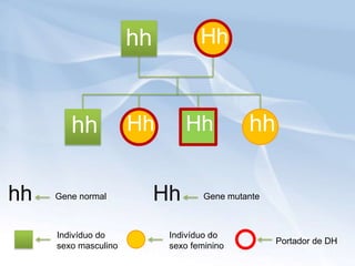 hh           Hh



        hh            Hh        Hh           hh

hh   Gene normal           Hh       Gene mutante



     Indivíduo do           Indivíduo do
                                                   Portador de DH
     sexo masculino         sexo feminino
 