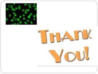 ANTINUCLEAR  ANTIBODY