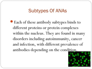 Subtypes Of ANAs
Each of these antibody subtypes binds to
different proteins or protein complexes
within the nucleus. They are found in many
disorders including autoimmunity, cancer
and infection, with different prevalence of
antibodies depending on the condition.
 