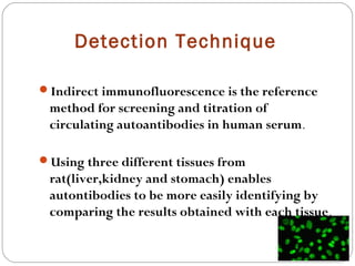 Detection Technique
Indirect immunofluorescence is the reference
method for screening and titration of
circulating autoantibodies in human serum.
Using three different tissues from
rat(liver,kidney and stomach) enables
autontibodies to be more easily identifying by
comparing the results obtained with each tissue.
 