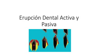 Erupción Dental Activa y
Pasiva
 