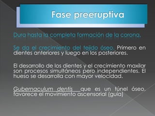 Dura hasta la completa formación de la corona.

Se da el crecimiento del tejido óseo. Primero en
dientes anteriores y luego en los posteriores.

El desarrollo de los dientes y el crecimiento maxilar
son procesos simultáneos pero independientes. El
hueso se desarrolla con mayor velocidad.

Gubernaculum dentis que es un túnel óseo,
favorece el movimiento ascensorial (guía)
 