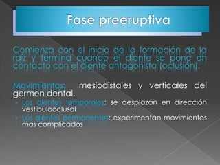 Comienza con el inicio de la formación de la
raíz y termina cuando el diente se pone en
contacto con el diente antagonista (oclusión).

Movimientos:   mesiodistales y verticales del
germen dental.
› Los dientes temporales: se desplazan en dirección
  vestibulooclusal
› Los dientes permanentes: experimentan movimientos
  mas complicados
 