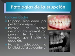 Factores locales
 Erupción bloqueada por
  pérdida de espacio
 Pérdida      de    dientes
  deciduos por traumatismo
  graves. Se forma un
  coágulo que impide la
  erupción.
 No    es adecuada la
  longitud del arco dentario
 