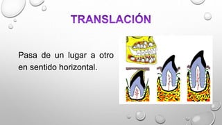 Pasa de un lugar a otro
en sentido horizontal.
 