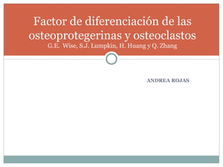 [object Object],Factor de diferenciación de las osteoprotegerinas y osteoclastos G.E.  Wise, S.J. Lumpkin, H. Huang y Q. Zhang 