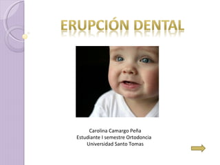 Carolina Camargo Peña Estudiante I semestre Ortodoncia  Universidad Santo Tomas 