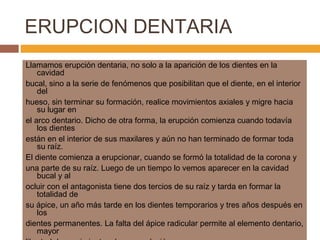 ERUPCION DENTARIA
Llamamos erupción dentaria, no solo a la aparición de los dientes en la
cavidad
bucal, sino a la serie de fenómenos que posibilitan que el diente, en el interior
del
hueso, sin terminar su formación, realice movimientos axiales y migre hacia
su lugar en
el arco dentario. Dicho de otra forma, la erupción comienza cuando todavía
los dientes
están en el interior de sus maxilares y aún no han terminado de formar toda
su raíz.
El diente comienza a erupcionar, cuando se formó la totalidad de la corona y
una parte de su raíz. Luego de un tiempo lo vemos aparecer en la cavidad
bucal y al
ocluir con el antagonista tiene dos tercios de su raíz y tarda en formar la
totalidad de
su ápice, un año más tarde en los dientes temporarios y tres años después en
los
dientes permanentes. La falta del ápice radicular permite al elemento dentario,
mayor

 