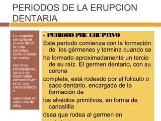 PERIODOS DE LA ERUPCION
DENTARIA
La erupción
dentaria se
puede dividir
en tres
períodos,
dicha división
se realiza
con fines
pedagógicos,
ya que se
desarrollan
consecutivam
ente, con
característica
s
esenciales en
cada uno de
ellos

- PERIODO PRE ERUPTIVO
Este período comienza con la formación
de los gérmenes y termina cuando se
ha formado aproximadamente un tercio
de su raíz. El germen dentario, con su
corona
completa, está rodeado por el folículo o
saco dentario, encargado de la
formación de
los alvéolos primitivos, en forma de
canastilla
ósea que rodea al germen en

 