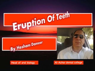 Head of oral biology Al-Azhar dental college 
 