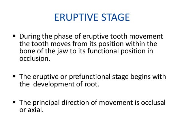 Secondary Teeth Eruption Chart