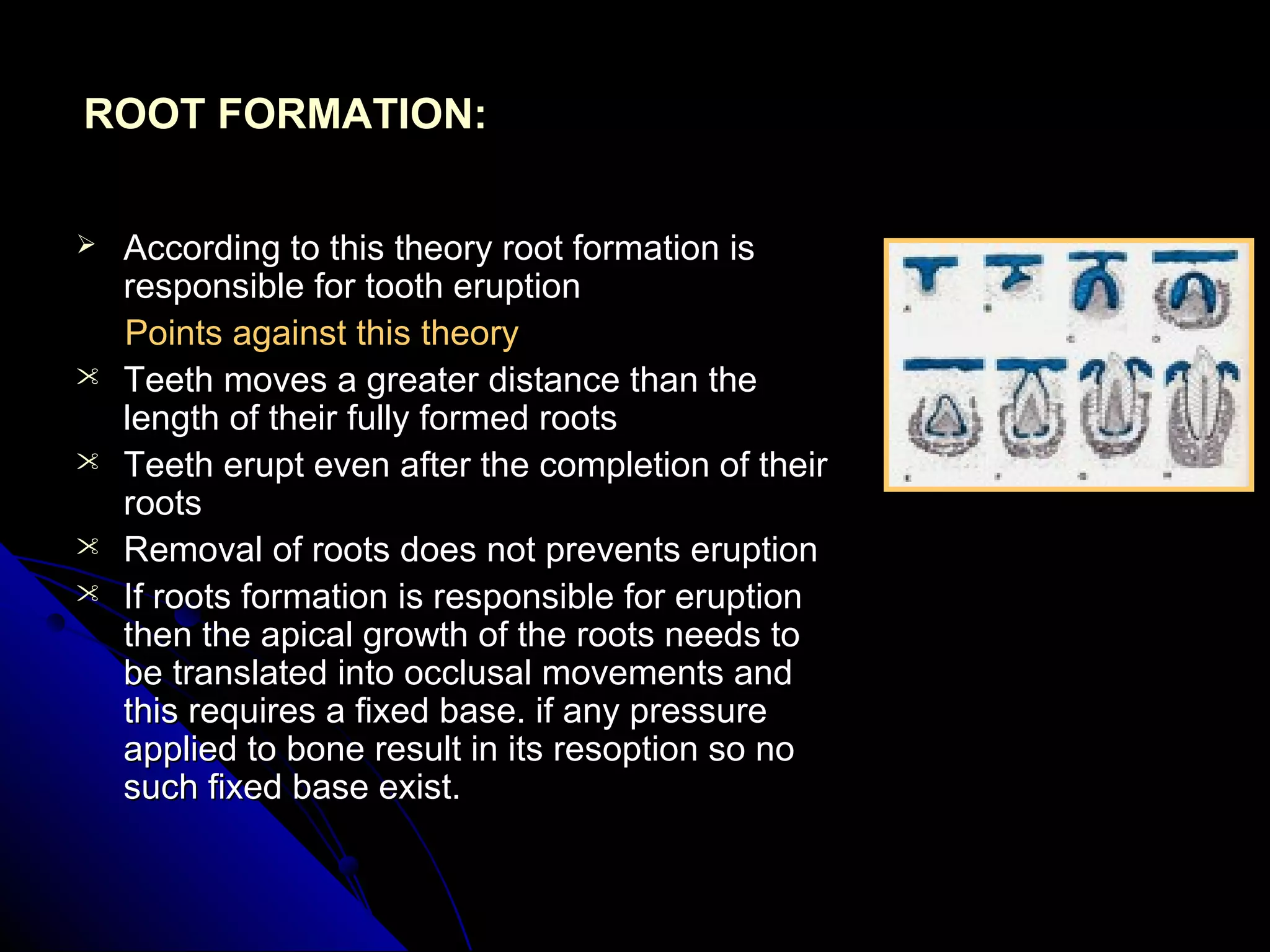ROOT FORMATION:ROOT FORMATION:
 According to this theory root formation isAccording to this theory root formation is
responsible for tooth eruptionresponsible for tooth eruption
Points against this theoryPoints against this theory
 Teeth moves a greater distance than theTeeth moves a greater distance than the
length of their fully formed rootslength of their fully formed roots
 Teeth erupt even after the completion of theirTeeth erupt even after the completion of their
rootsroots
 Removal of roots does not prevents eruptionRemoval of roots does not prevents eruption
 If roots formation is responsible for eruptionIf roots formation is responsible for eruption
then the apical growth of the roots needs tothen the apical growth of the roots needs to
be translated into occlusal movements andbe translated into occlusal movements and
this requires a fixed base. if any pressurethis requires a fixed base. if any pressure
applied to bone result in its resoption so noapplied to bone result in its resoption so no
such fixed base exist.such fixed base exist.
 